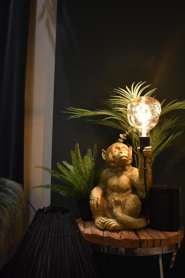3 Monkeys Hotel 施泰因福特 外观 照片